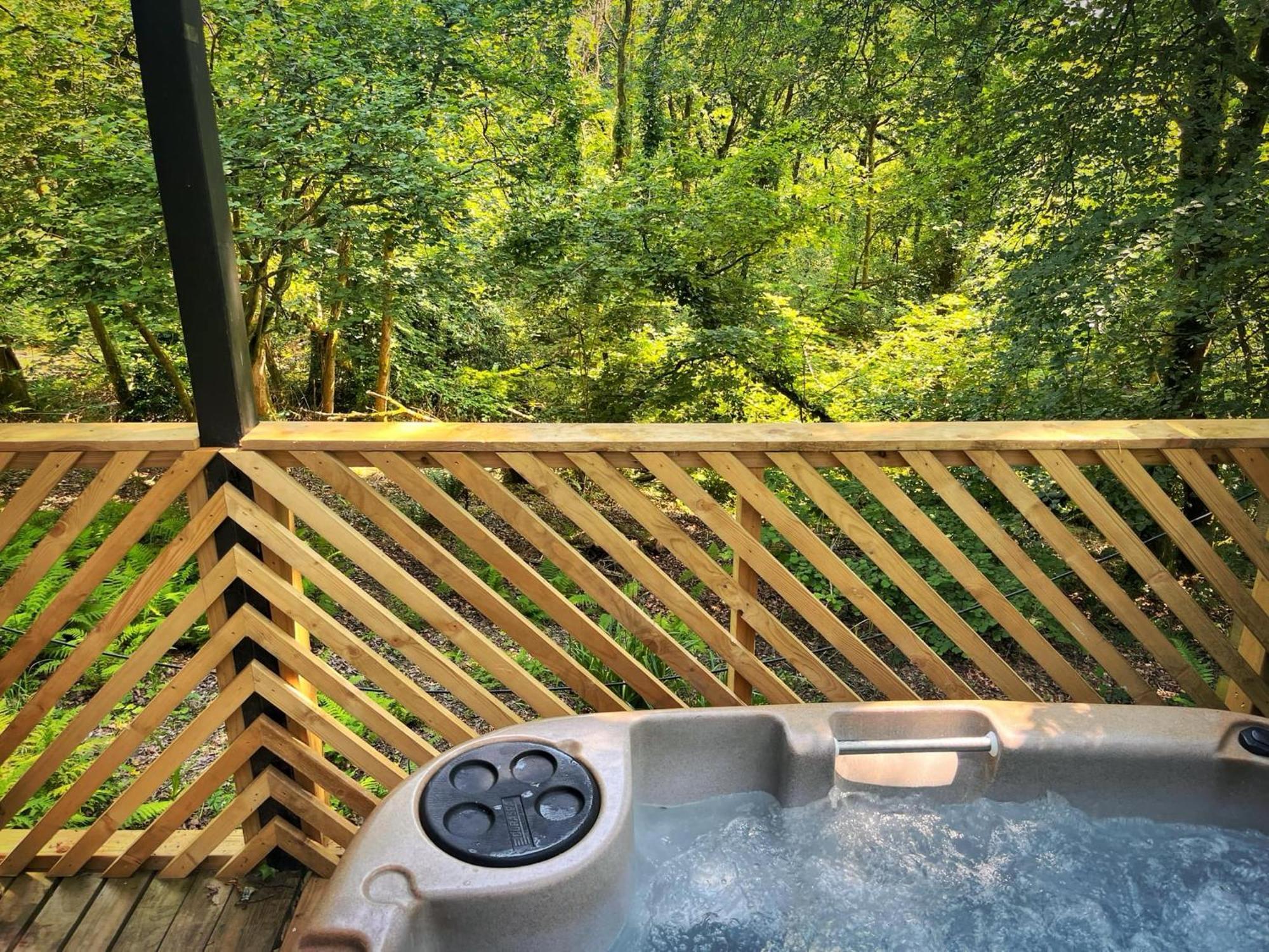 Goldcrest 3-Hot Tub-Woodland Lodges-Carmarthenshire-Tenby 외부 사진