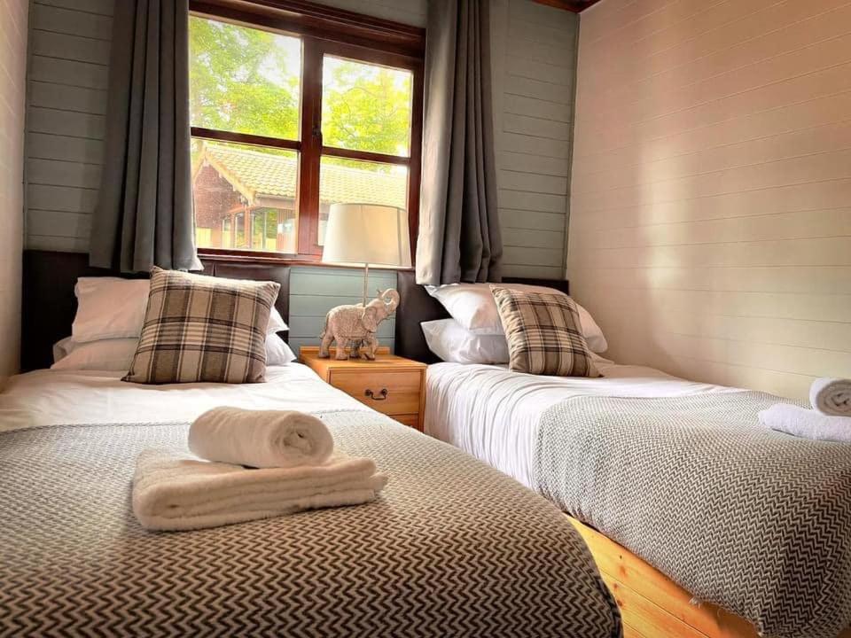 Goldcrest 3-Hot Tub-Woodland Lodges-Carmarthenshire-Tenby 외부 사진